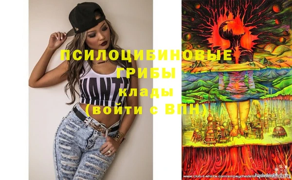 марки lsd Нея