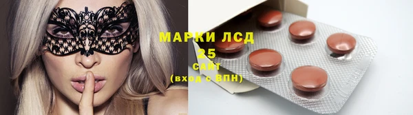 индика Новокубанск