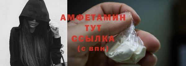 индика Новокубанск