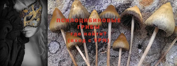 марки lsd Нея