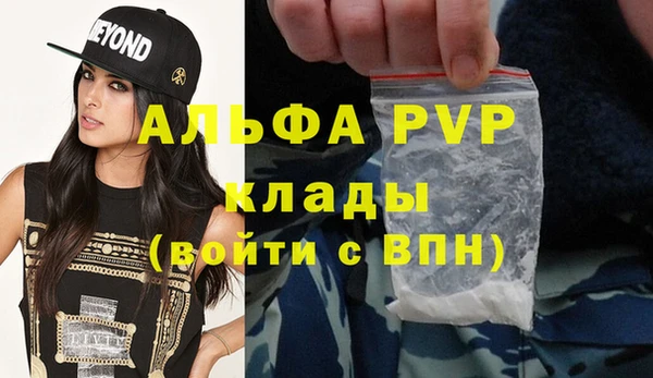 гашик Новодвинск