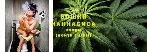гашик Новодвинск
