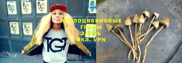 гашик Новодвинск